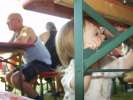 Bild-0008313 Bild-0008313