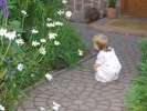 Bild-0008323