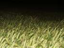 Bild-0008326 Bild-0008326