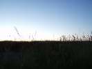 Bild-0008334