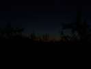 Bild-0008338