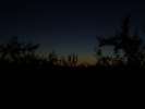 Bild-0008339 Bild-0008339