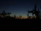 Bild-0008340 Bild-0008340