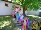 Bild-0008354