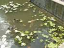 Bild-0007803 Bild-0007803