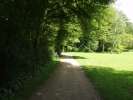 Bild-0007823 Bild-0007823