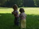 Bild-0007851 Bild-0007851