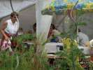Bild-0007899 Bild-0007899