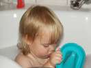 Bild-0007950 Bild-0007950