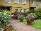 Bild-0007024 Bild-0007024