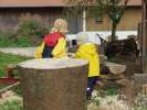 Bild-0007126 Bild-0007126