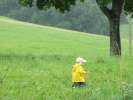 Bild-0007132 Bild-0007132