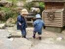 Bild-0007205 Bild-0007205