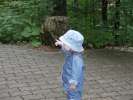 Bild-0007222
