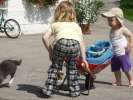 Bild-0007347 Bild-0007347