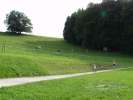 Bild-0007363 Bild-0007363