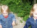 Bild-0007401 Bild-0007401
