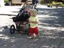 Bild-0007427 Bild-0007427