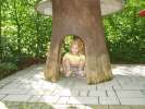 Bild-0007452 Bild-0007452