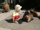 Bild-0007461 Bild-0007461