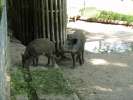 Bild-0007486 Bild-0007486