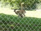 Bild-0007487 Bild-0007487