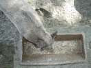 Bild-0007489 Bild-0007489