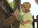 Bild-0007497 Bild-0007497