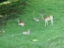 Bild-0007498 Bild-0007498