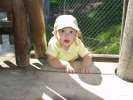 Bild-0007508 Bild-0007508