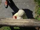 Bild-0007509 Bild-0007509