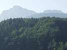 Bild-0008847 Bild-0008847