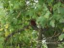Bild-0000158 Bild-0000158