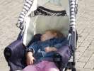 Bild-0008894 Bild-0008894