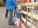 Bild-0008929 Bild-0008929