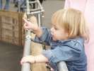 Bild-0008930 Bild-0008930