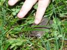 Bild-0008956 Bild-0008956