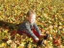 Bild-0009003 Bild-0009003