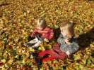 Bild-0009007 Bild-0009007