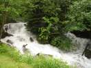 DSC00006 DSC00006