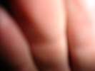 DSC00161 DSC00161
