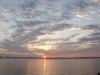 P8253623