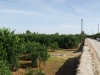 PA073876 PA073876