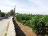 PA073877 PA073877