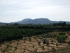 PA073881 PA073881