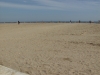 PA073902 PA073902