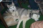 Bild-0000061