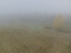 PA126667 PA126667