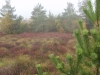 PA126670 PA126670