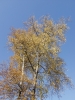 PA126690 PA126690